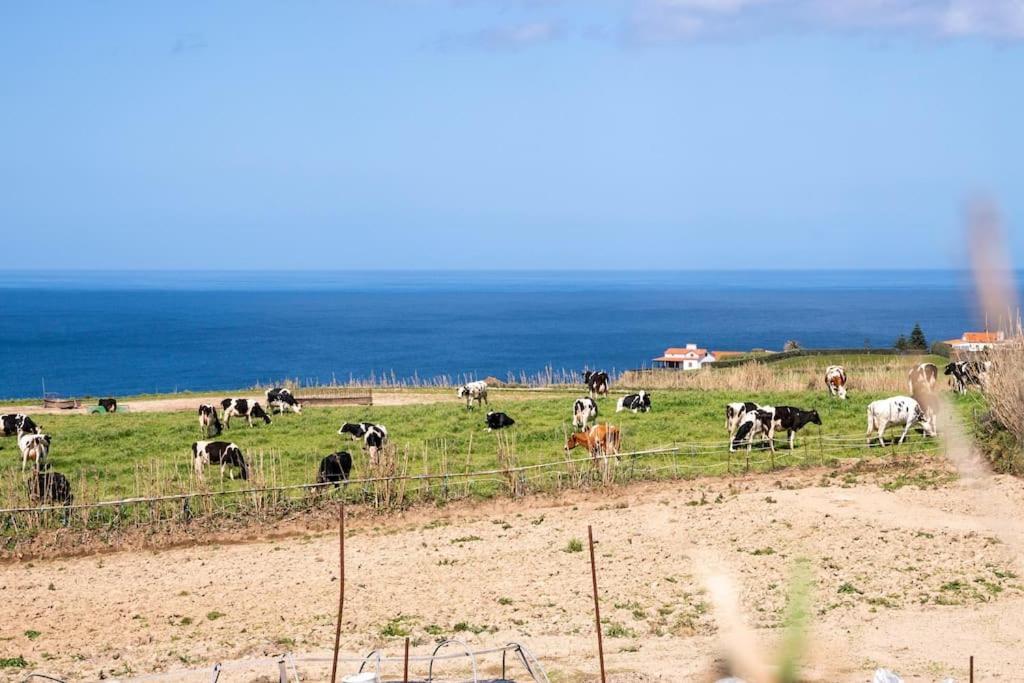 Country House In Azores - S. Miguel Ribeira Grande Exterior photo