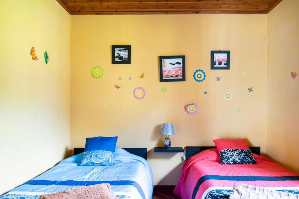 Country House In Azores - S. Miguel Ribeira Grande Exterior photo
